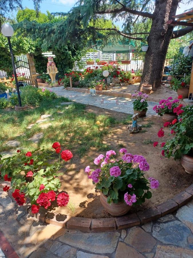 Nea Kallikrateia Handmade Peaceful Cozy House Near The Beach מראה חיצוני תמונה